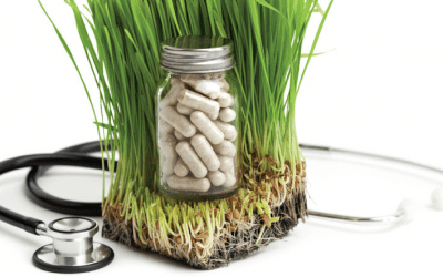 Naturopathic Detox Services